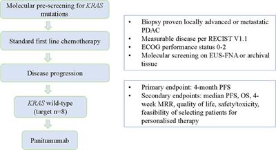 EUS-FNA Biopsies to Guide Precision Medicine in Pancreatic Cancer: Results of a Pilot Study to Identify KRAS Wild-Type Tumours for Targeted Therapy